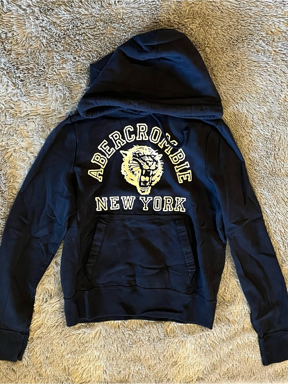 Abercrombie & Fitch Navy Hooded Sweatshirt with White Graphic